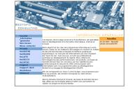 Bestinfo Consulting, Bestenheider & Chesaux