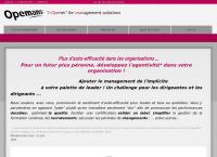 Website von CDO consulting Sàrl