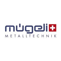 Mügeli Holding AG c/o Mügeli Metalltechnik AG