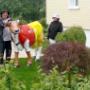 Appenzeller Kuh