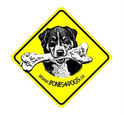 Bones 4 Dogs Dina Untersee