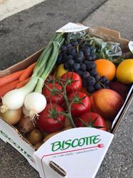Biscotte fruits et légumes SA