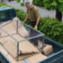 Durchs Gartenjahr begleitet Sie unser eingespielte