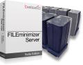 FILEminimizer Server