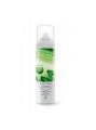 Aloe Cactus Hautpflegespray, 100 ml