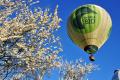 STANDARD BALLONFAHRT