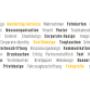 Marketing Services - Alles aus einer Hand!