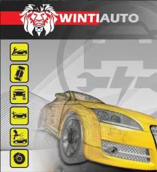WintiAuto Autogarage