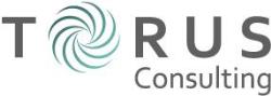 TORUS Consulting AG
