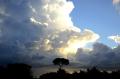 Das Schönste ist es, die Liebe und die Kraft und das Wissen weiterzugeben...