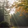 Herbstimpressionen