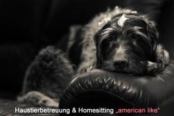 Hunde & Tier & Hausbetreuung vor Ort "american like"