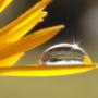 Spirituelle Heilerin, Energiearbeit