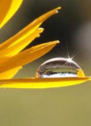 Harmonie und Gesundheit