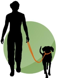 1x1 Hundetraining - Die Hundeschule, die zu Ihnen kommt!