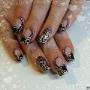 nagelhuesli.ch