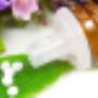 Homöopathie Frick Priska Frey