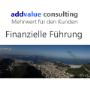 Finanzielle Führung