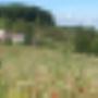 www.hofgut-farnsburg.ch