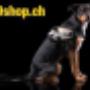 K9 Schweiz GmbH, Grenchen