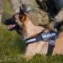 K9 Schweiz GmbH, Grenchen