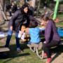 Event: Basteln im Park