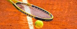 Fischli Sports