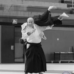 Aikidoschule