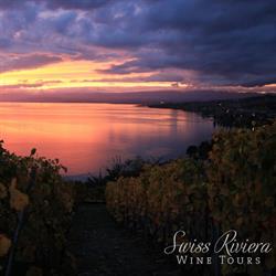 Swiss Riviera Wine Tours Sàrl