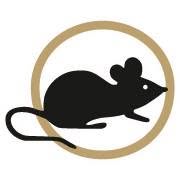 Blackmouse Sàrl