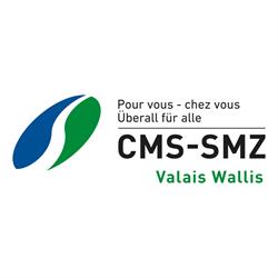 Groupement valaisan des centres médico-sociaux