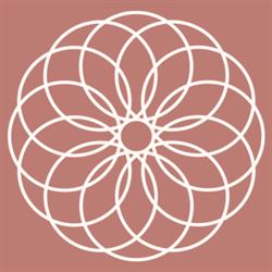 Soma Institut GmbH