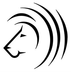 Pérez Goldschmied GmbH