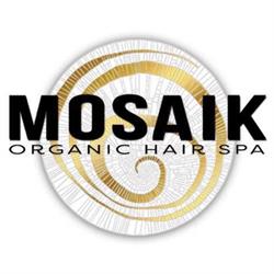 Salon Mosaik, Schwager B.
