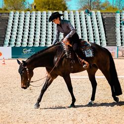 Alpine Western Horses AG