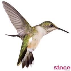 Stoco S.A.