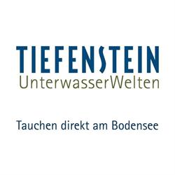 Tiefenstein AG