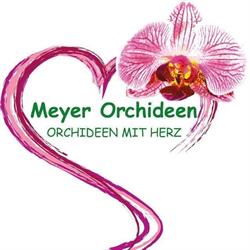 Meyer Orchideen AG