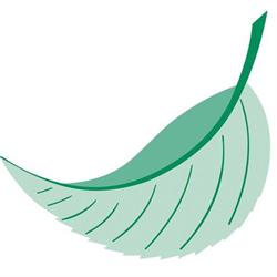 Holenstein Gartenbau GmbH