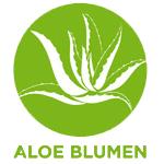 Aloe Blumen Eventfloristik