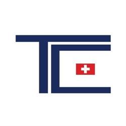 Tölderer Consulting GmbH