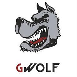 Gwolf Sagl