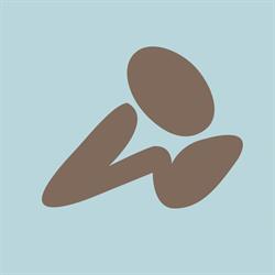 Digitalminds Studios V. Feleppa