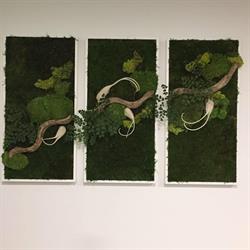 Nature Art Deco Sàrl
