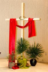 Mision Catolica
