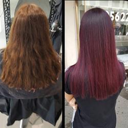 Coiffeur DUHOK
