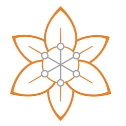 gesund-sein gmbh