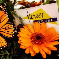 Flower-House