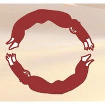 Praxisgemeinschaft für Feldenkrais & Physiotherapie