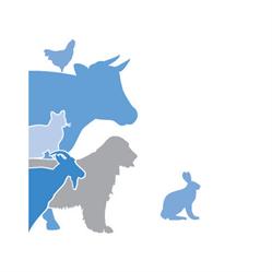Zentrum für Tiermedizin Klettgau